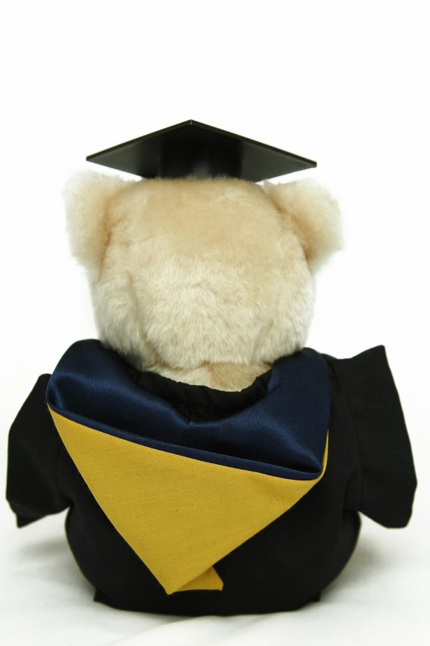 Graduation Bear - Faculty of Law