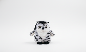 Graduation Owl