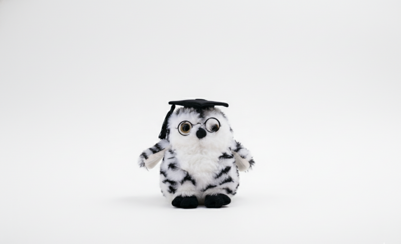 Graduation Owl
