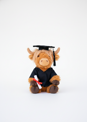 Graduation Cow