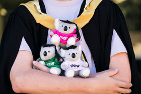 Graduation Koala