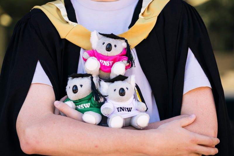 Graduation Koala