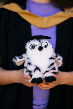 Graduation Owl
