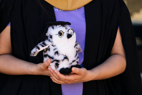 Graduation Owl
