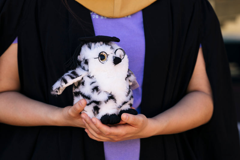 Graduation Owl