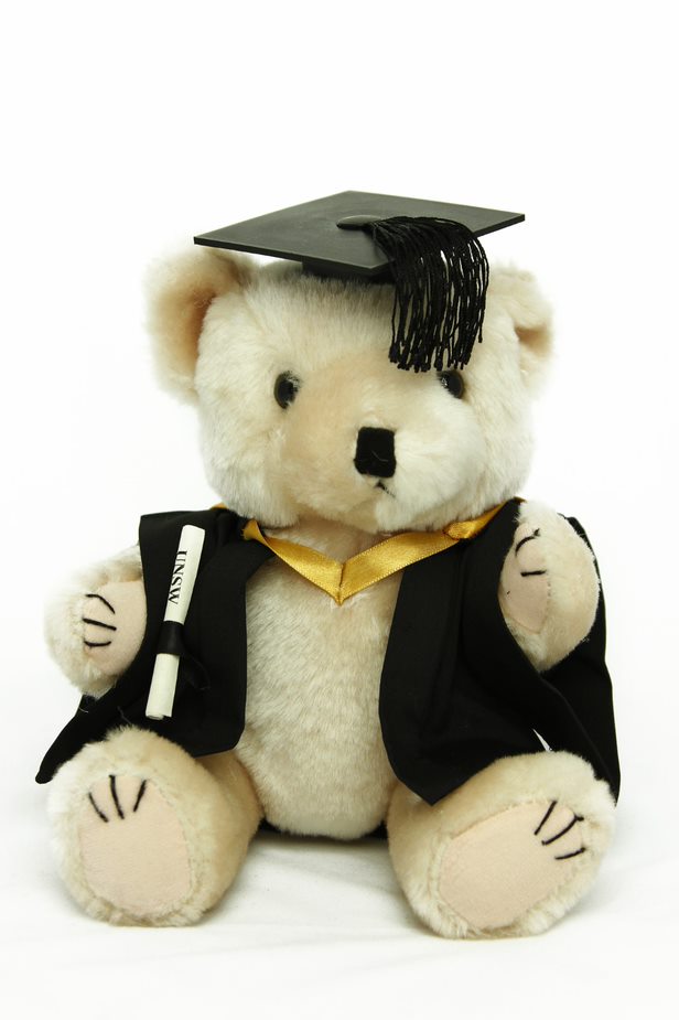 Graduation Bear - Arts, Design & Architecture
