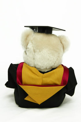 Graduation Bear - Faculty of Engineering