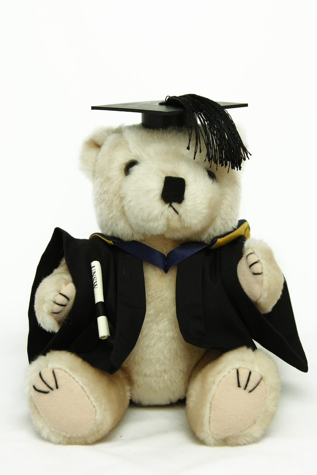 Graduation Bear - Faculty of Law