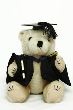 Graduation Bear - Faculty of Law